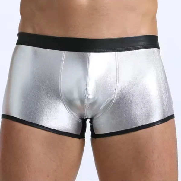 Tegan Fantezi Deri Görünümlü Gümüş Erkek Boxer  Tanga TG274607